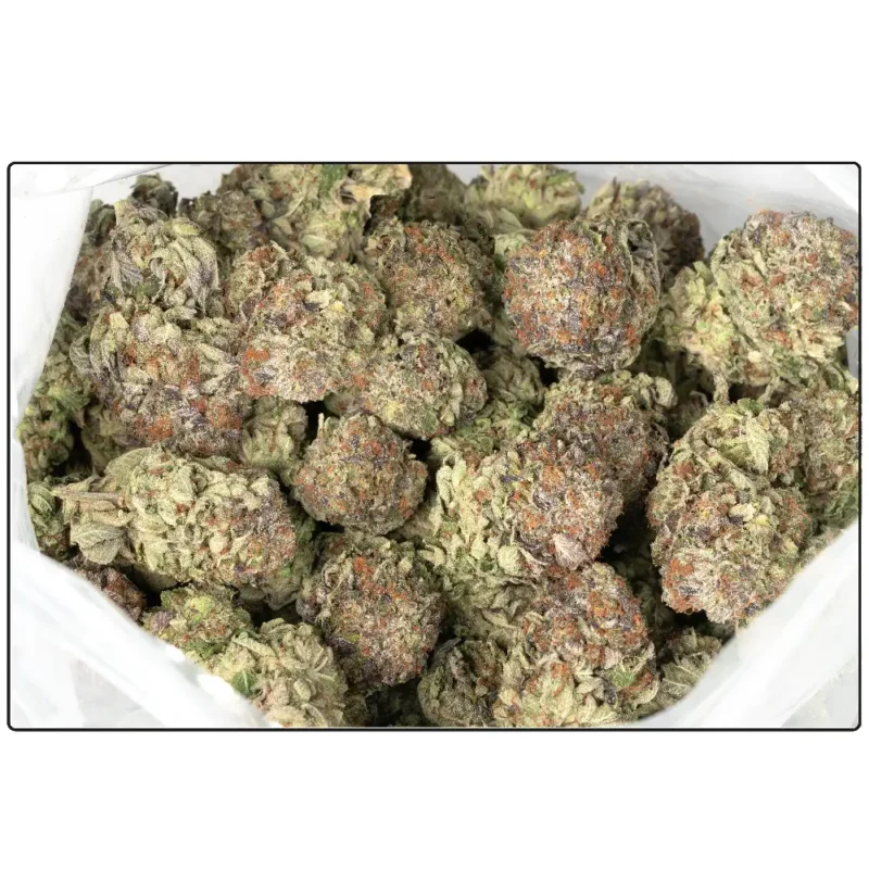 Pink Gas - Image 2