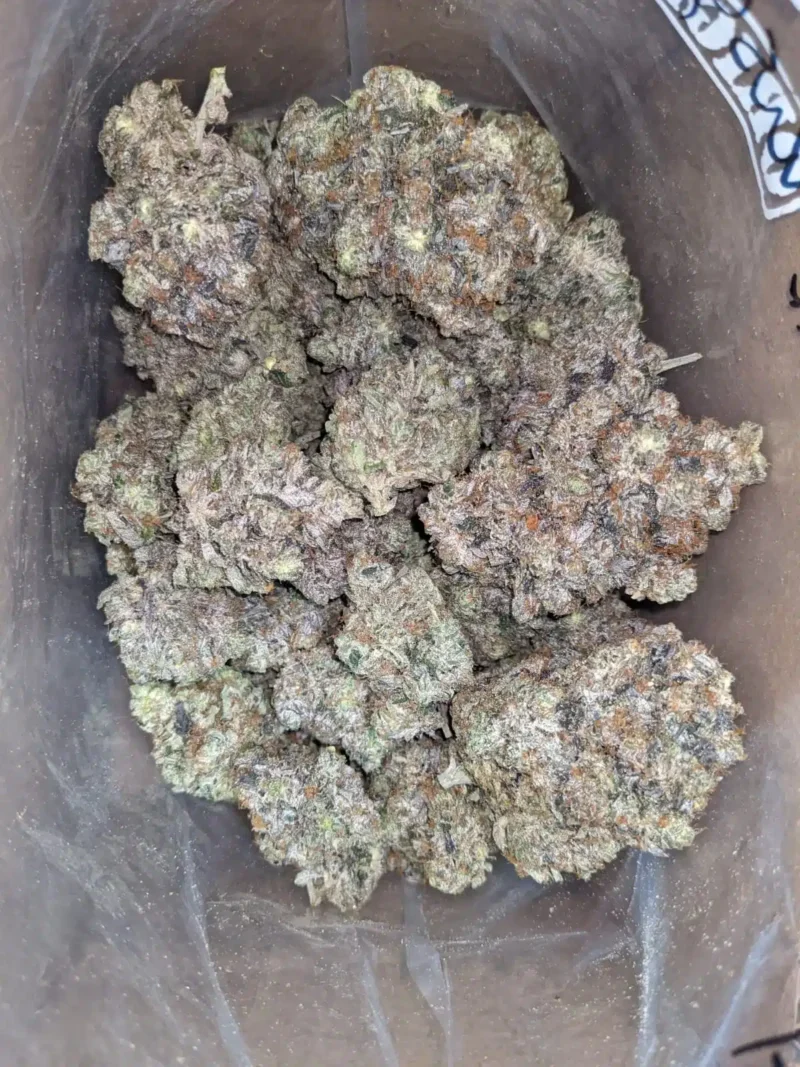 Pink Kush - Image 4