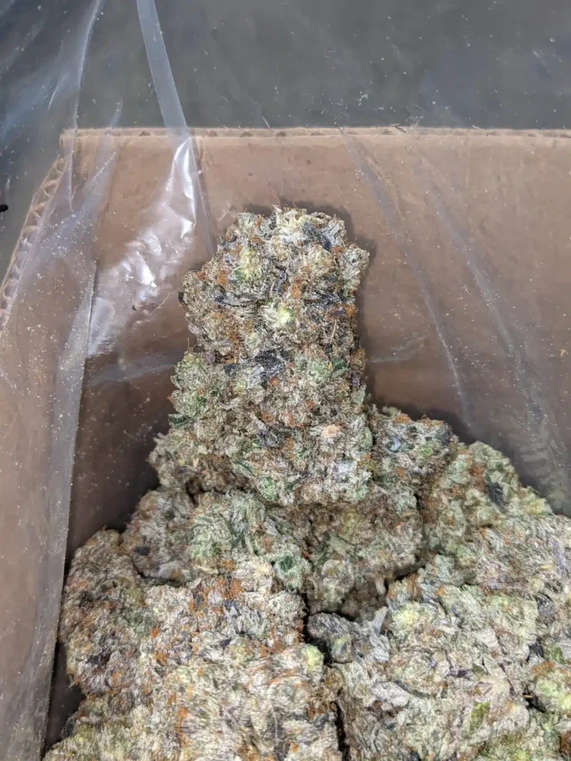 Pink Kush - Image 7