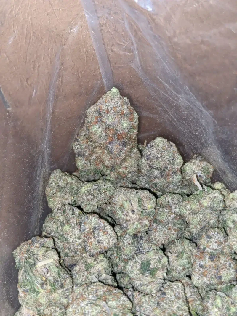 Pink OG - Image 4