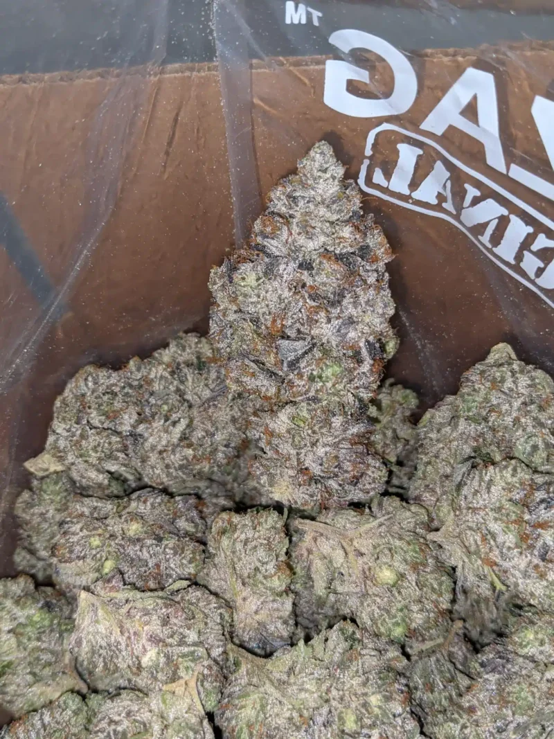 Pink Tuna Kush - Image 6