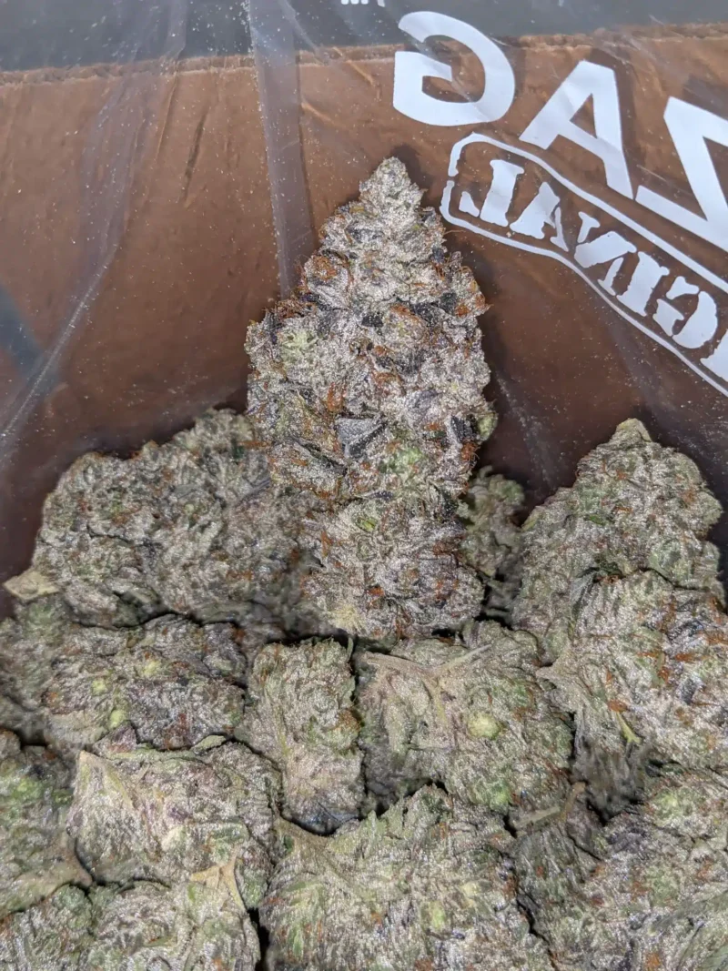 Pink Tuna Kush - Image 7