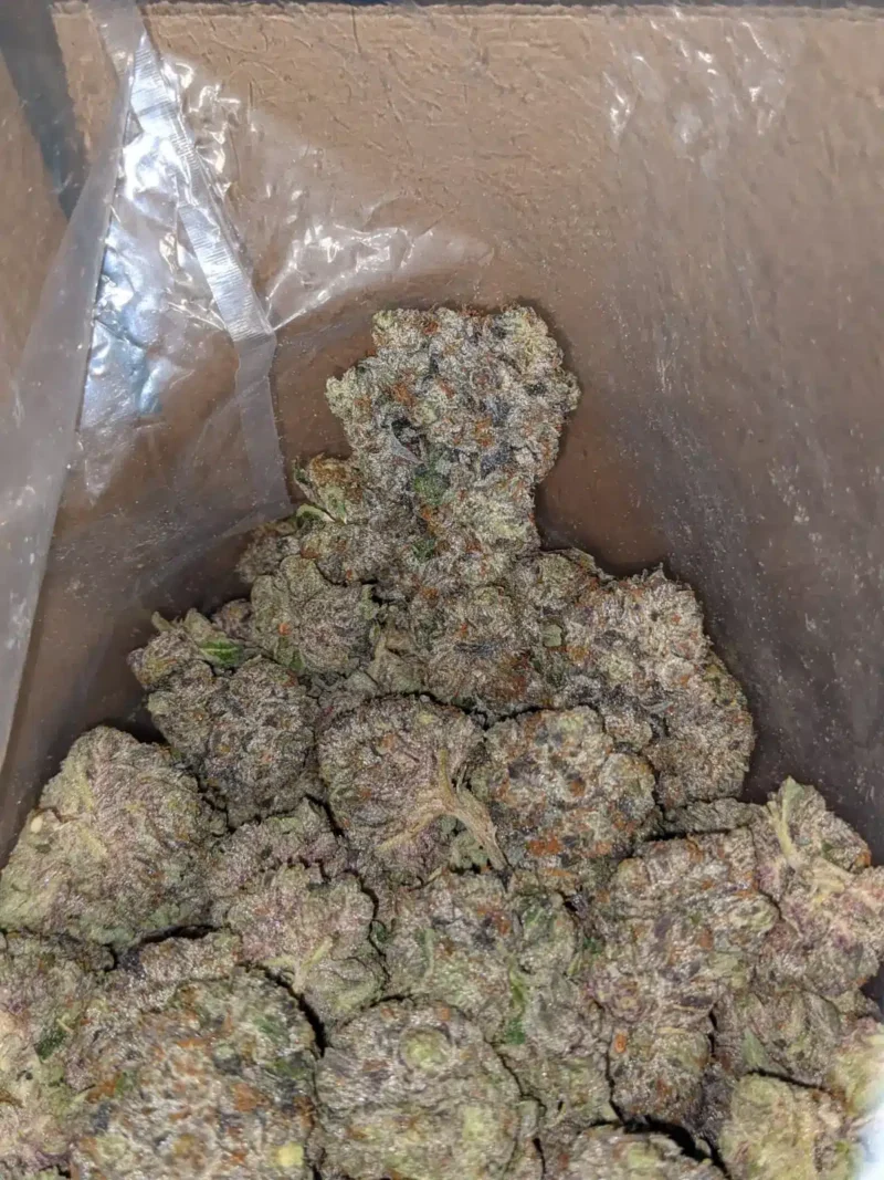 Pink Death AAA - Image 4