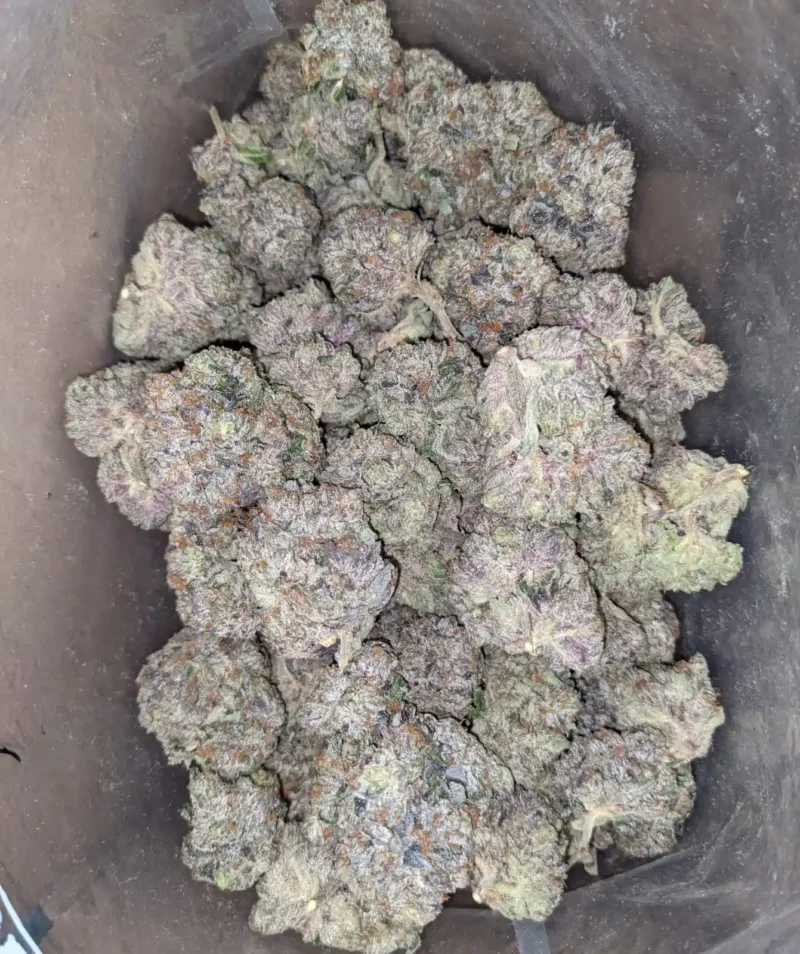 Pink Death AAA - Image 6