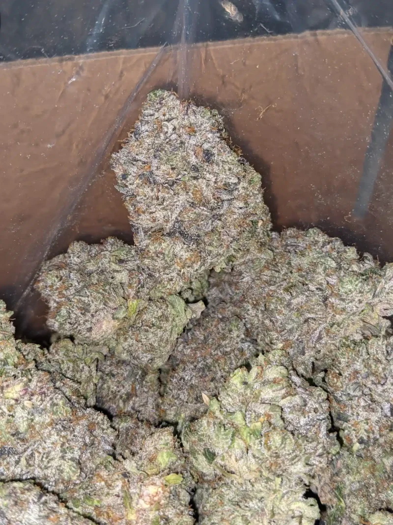 Pink Gas AAAA - Image 5