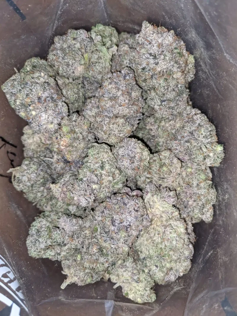 Pink Gas AAAA - Image 4