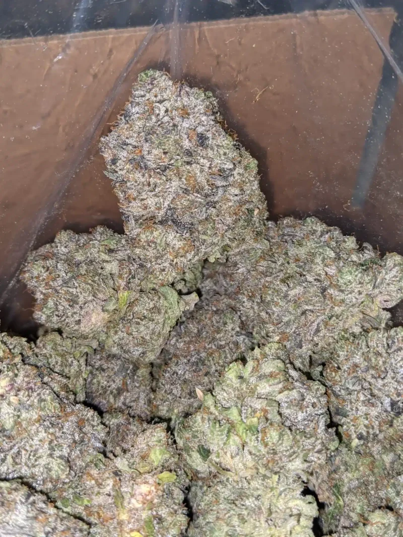 Pink Gas AAAA - Image 7