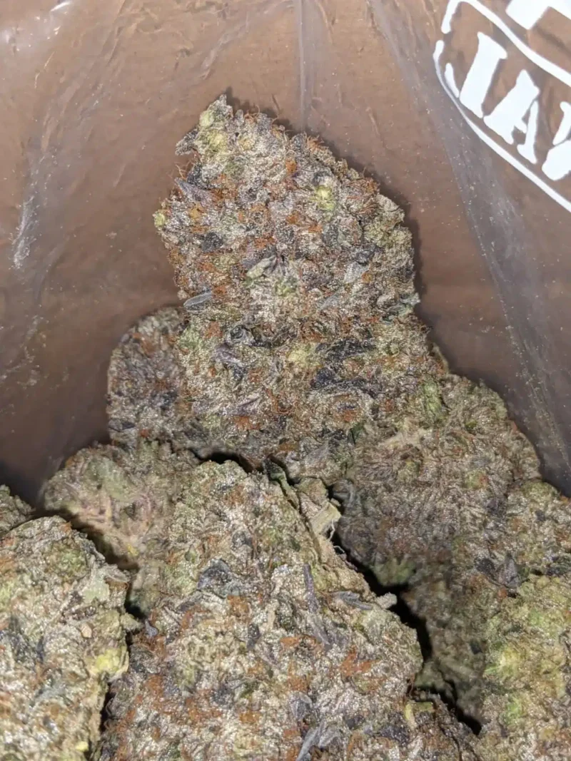 Pink Goo - Image 2