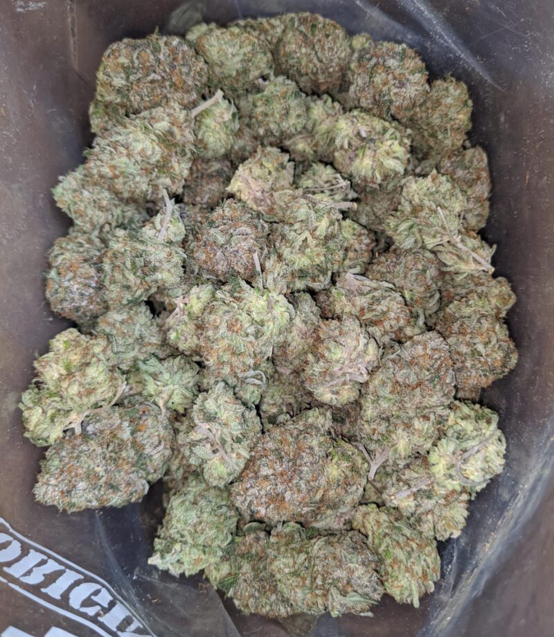 Pink Kush AAA - Image 7