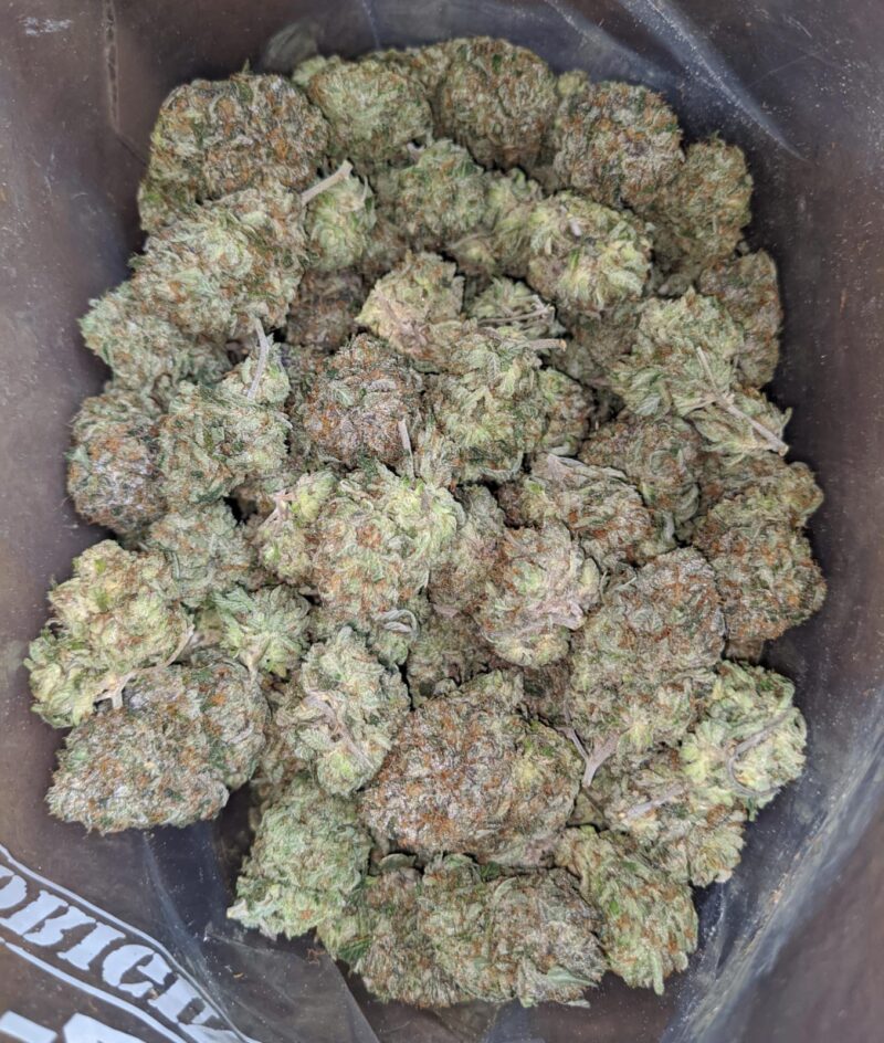 Pink Kush AAA - Image 6