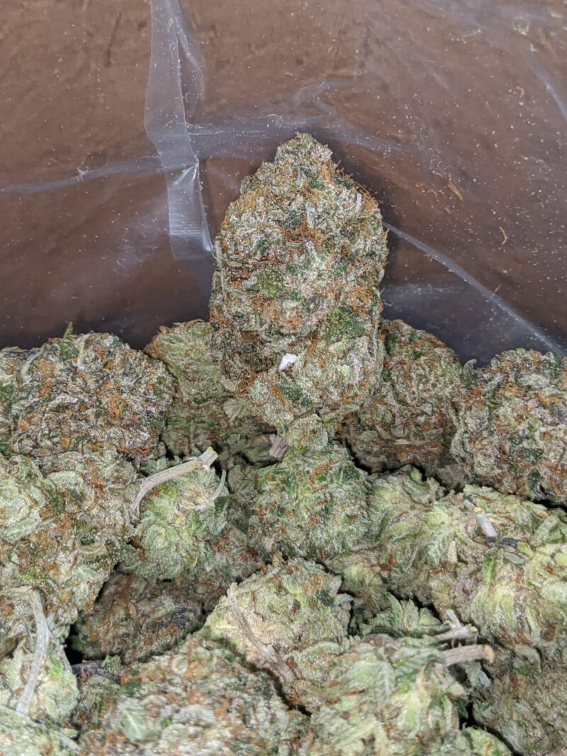 Pink Kush AAA - Image 5