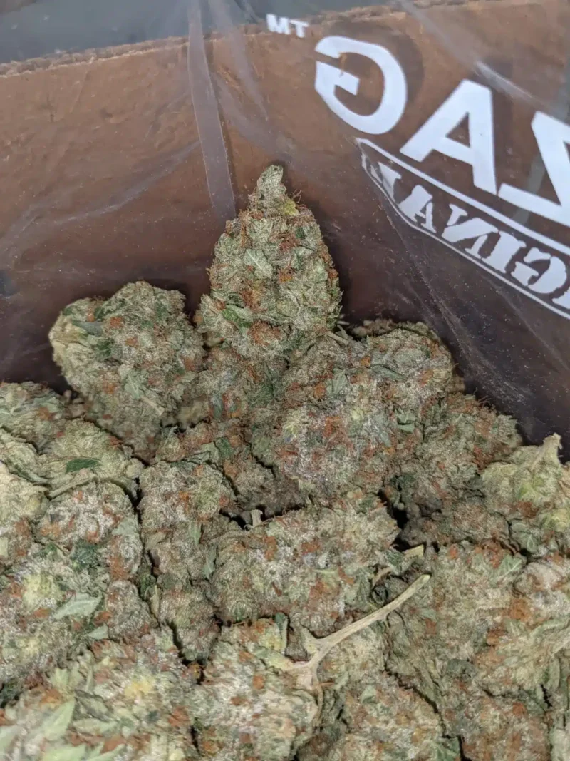 Pink Star - Image 5