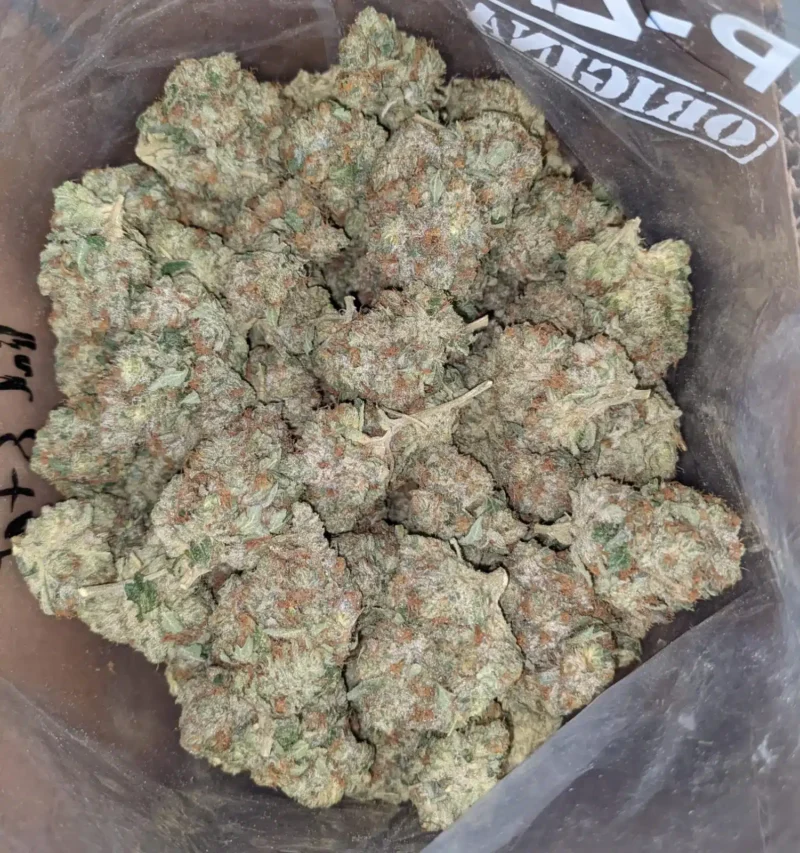 Pink Star - Image 7