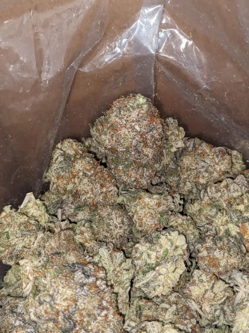 Platinum Kush - Image 5