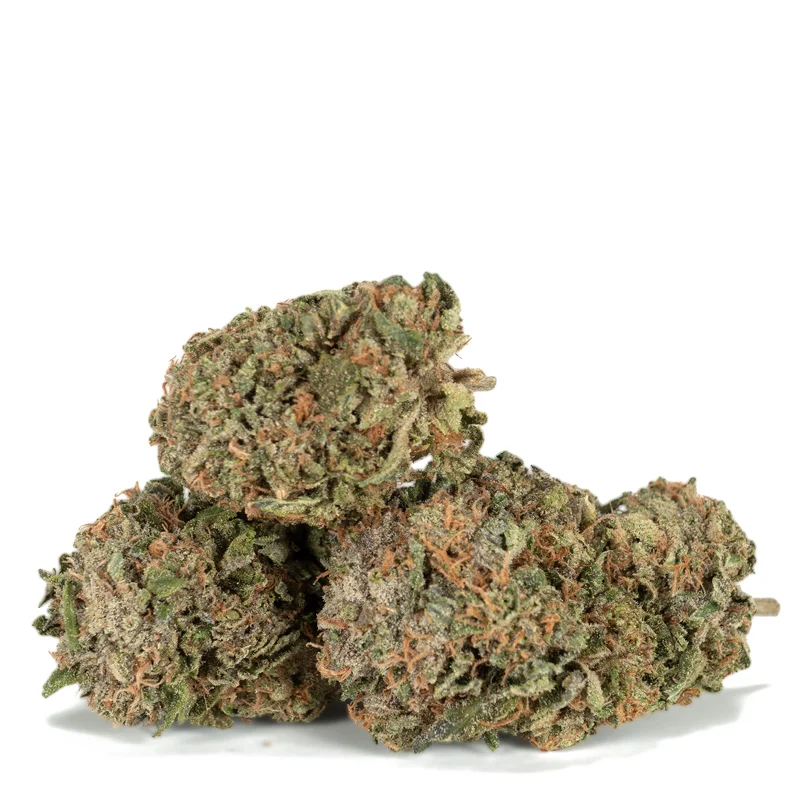Platinum Rockstar