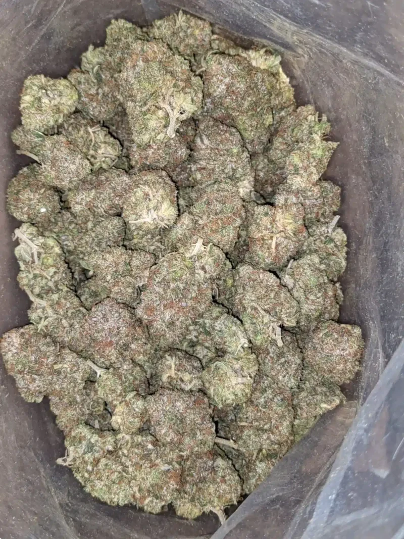 Platinum Pink - Image 6