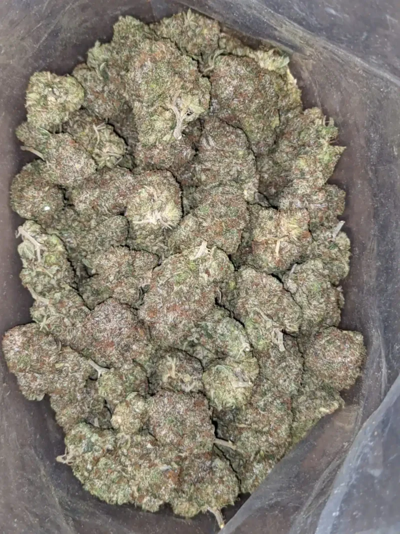 Platinum Pink - Image 5