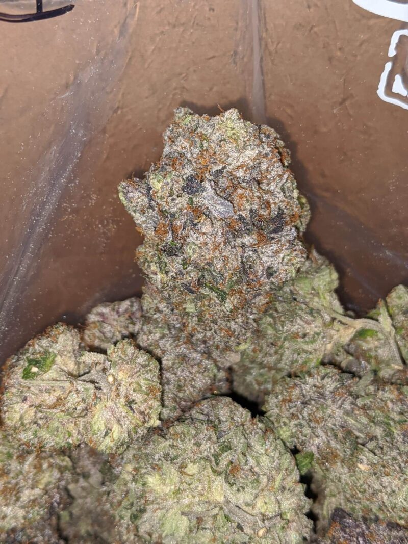 Platinum Rockstar Pink - Image 6