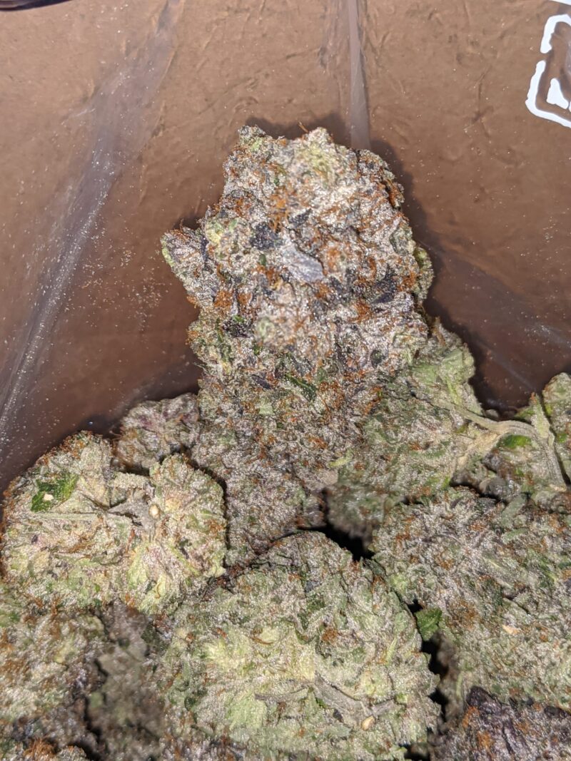 Platinum Rockstar Pink - Image 7