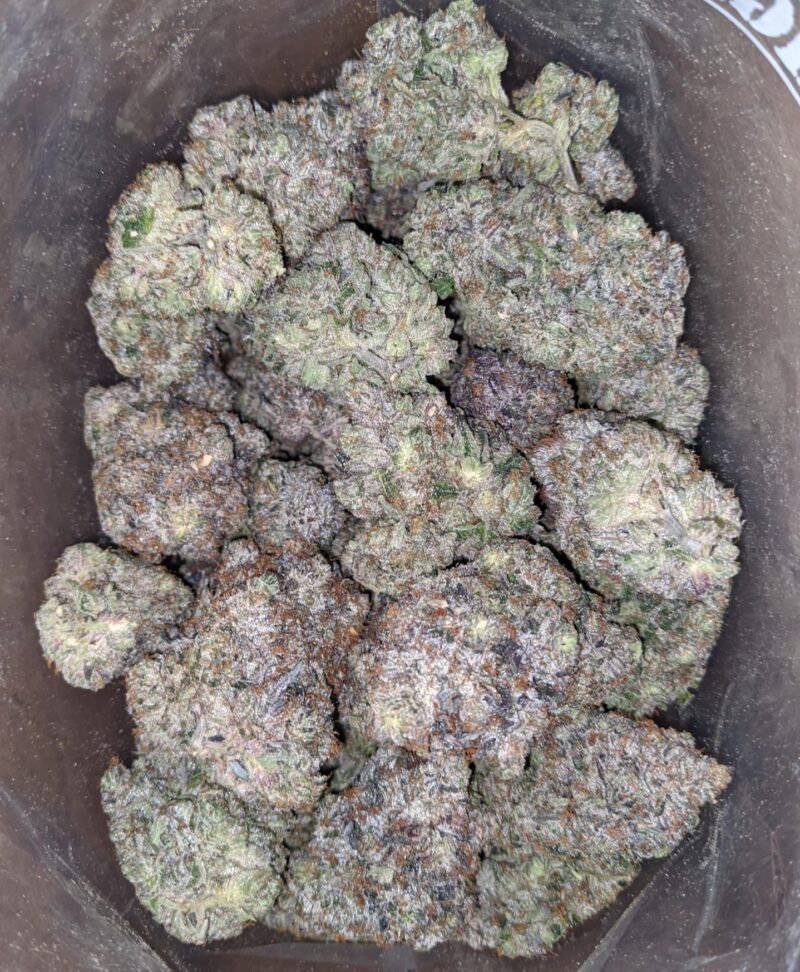 Platinum Rockstar Pink - Image 4