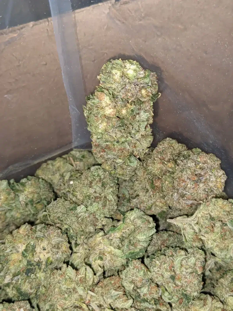 Pre 98 Bubba - Image 6