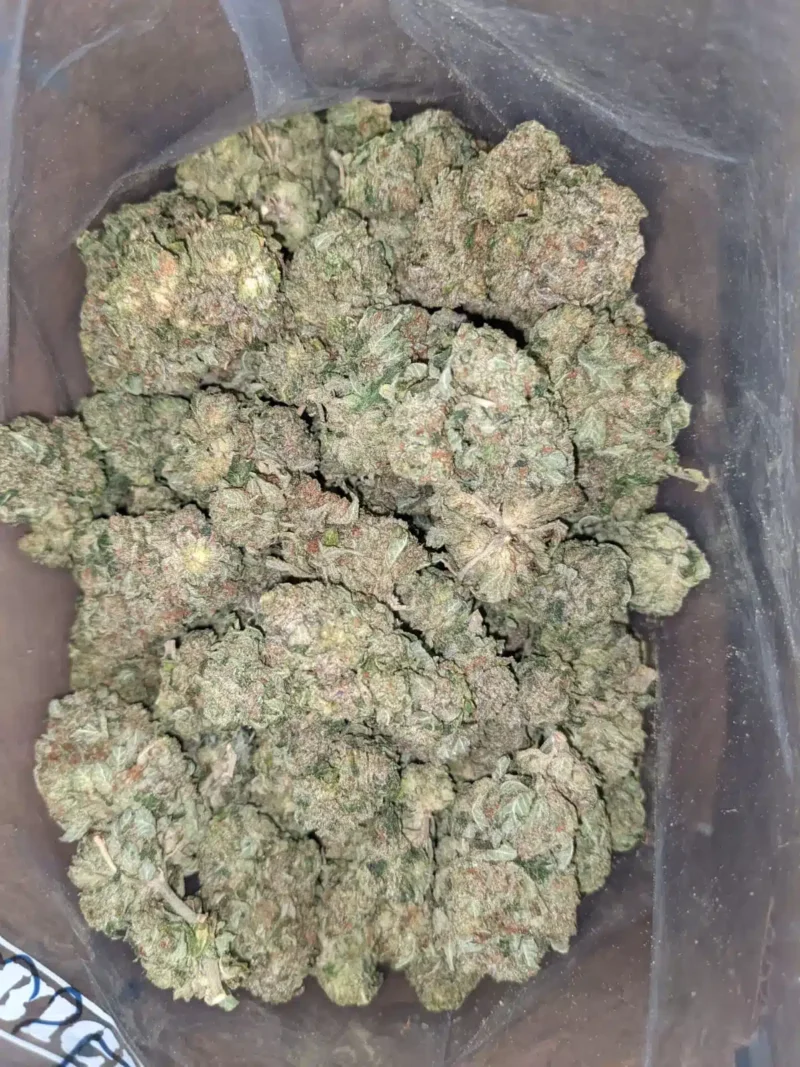 Pre 98 Bubba - Image 7