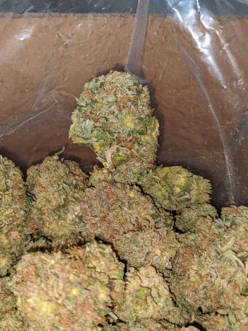 Pre Bubba Kush - Image 4