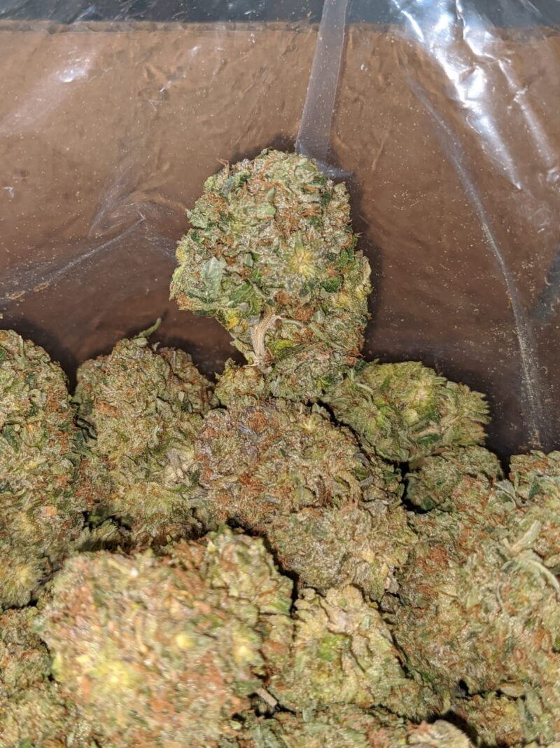 Pre Bubba Kush - Image 7