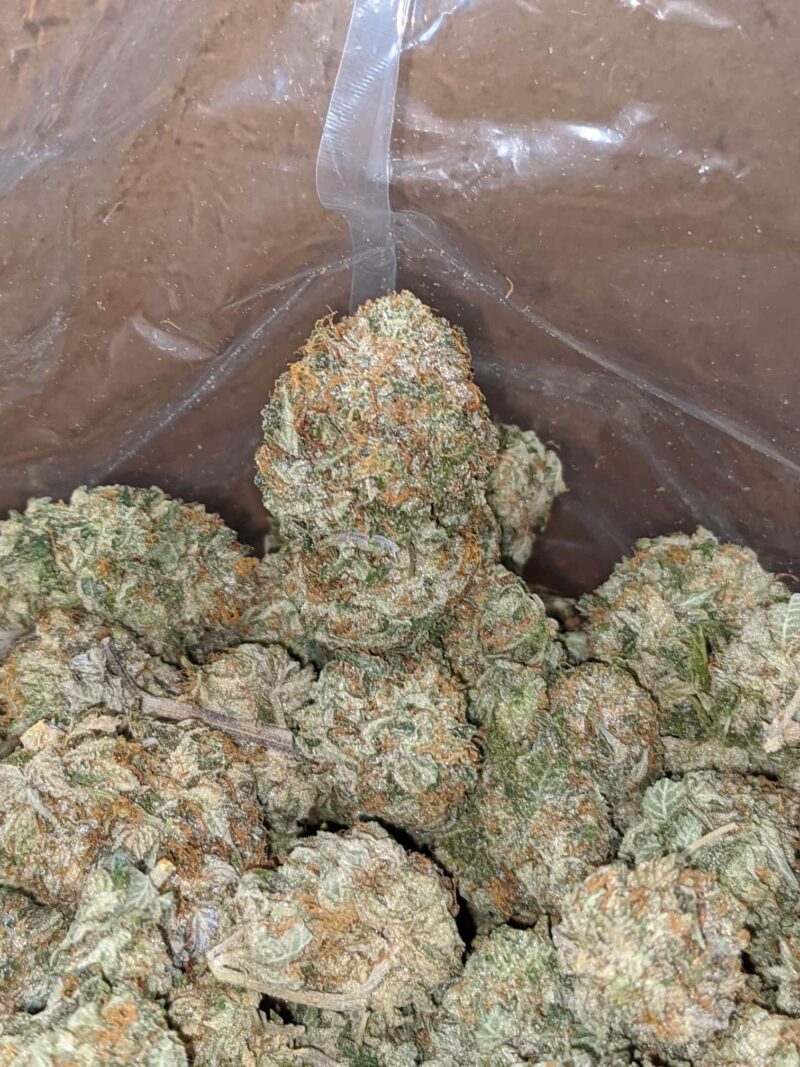 Presidential OG - Image 7