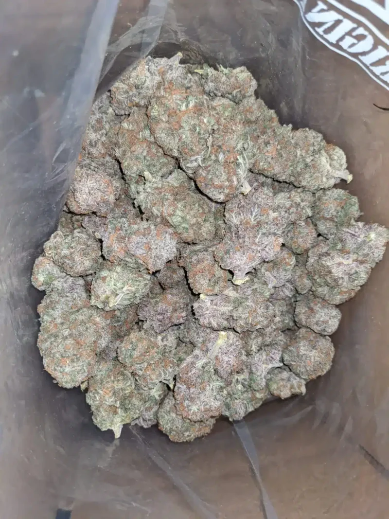 Pure Amnesia - Image 5