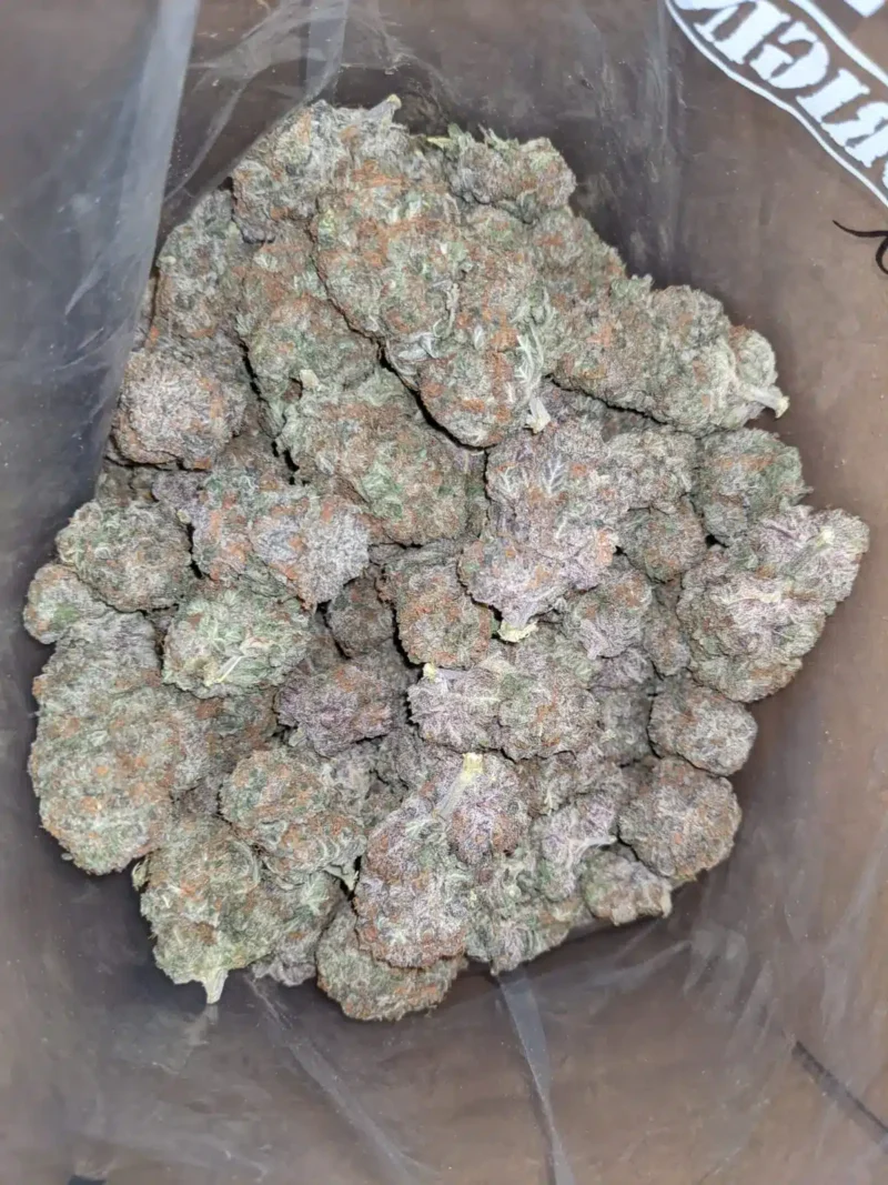 Pure Amnesia - Image 4