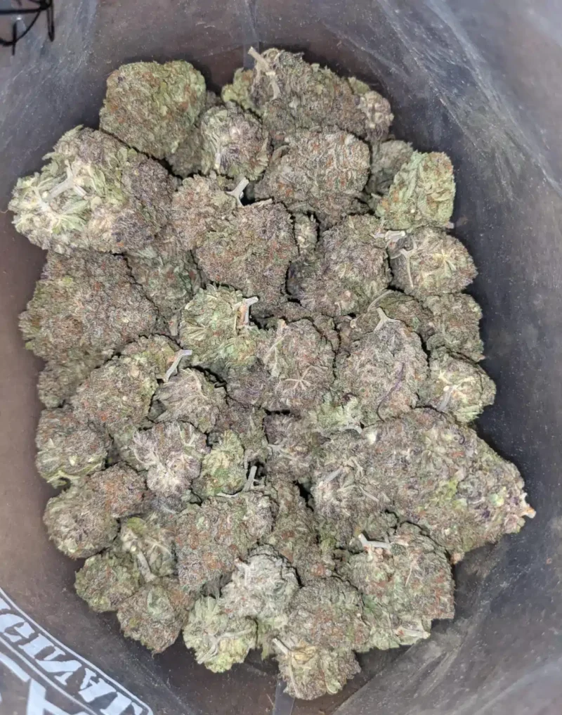 Ayahuasca Purple - Image 5