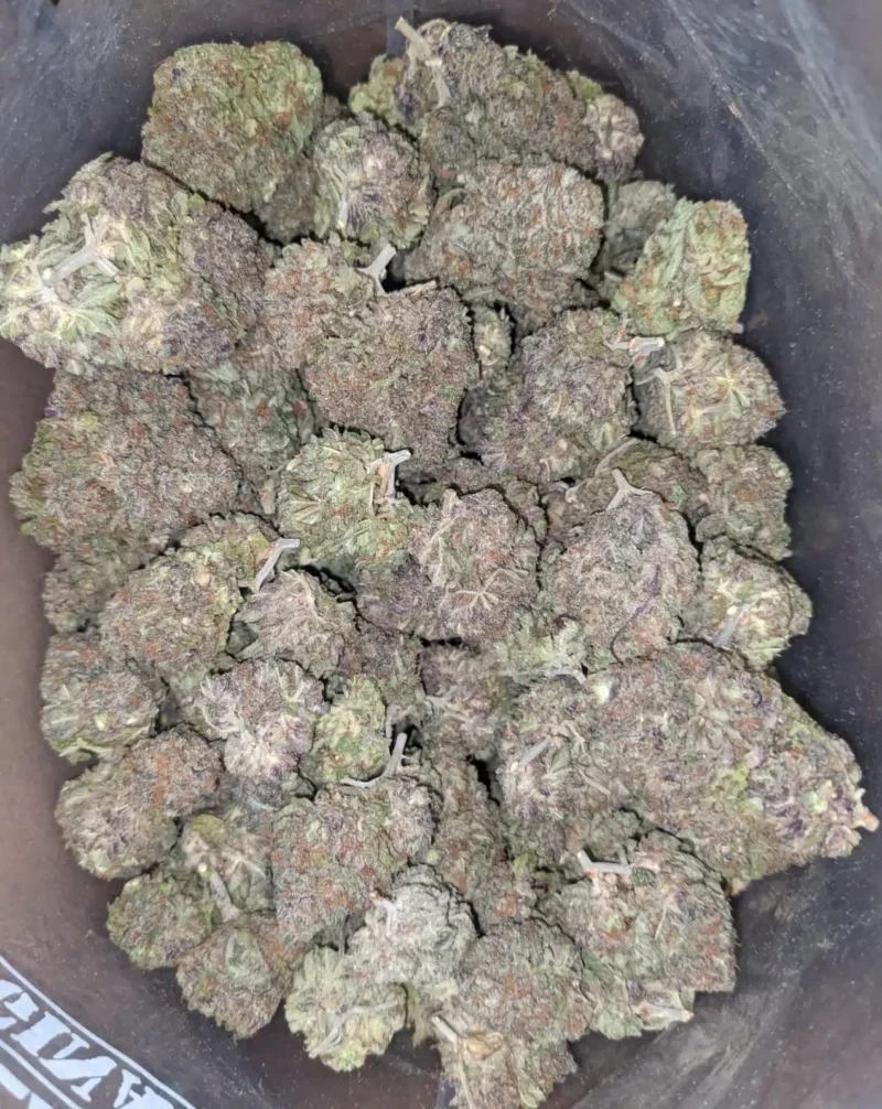 Ayahuasca Purple - Image 4