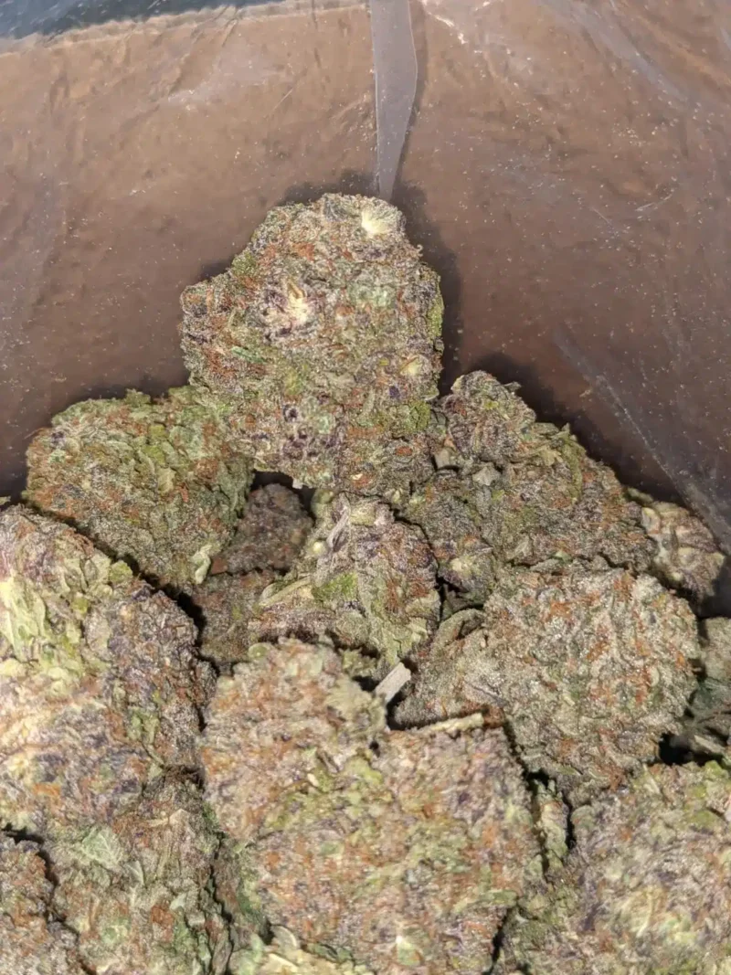 Ayahuasca Purple - Image 7