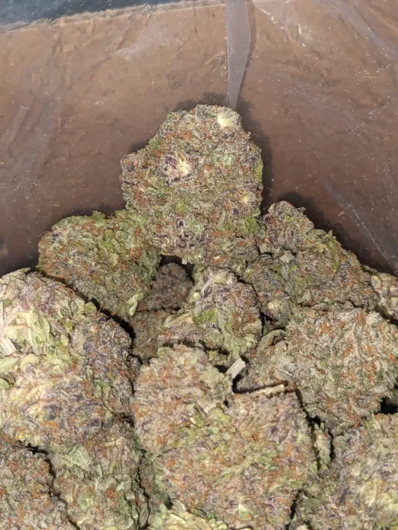 Ayahuasca Purple - Image 6