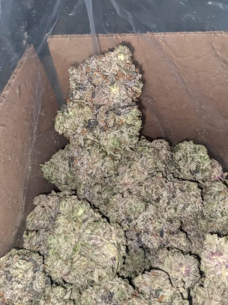Purple Hindu Kush - Image 7
