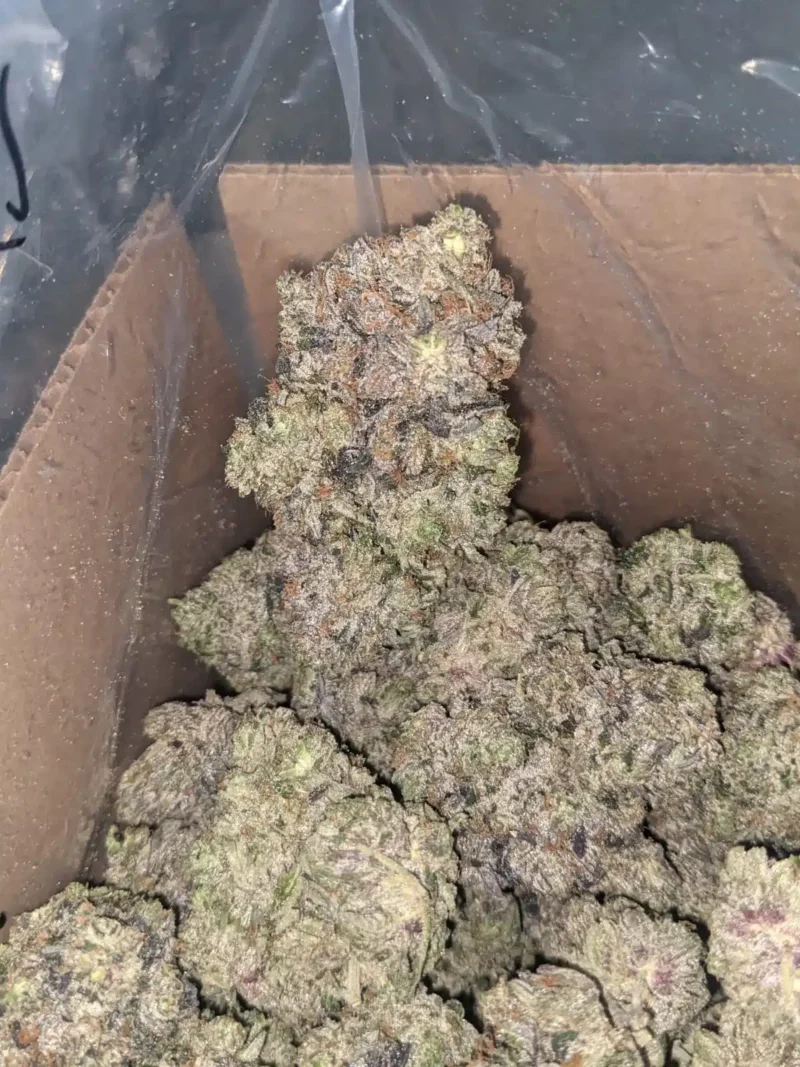 Purple Hindu Kush - Image 6