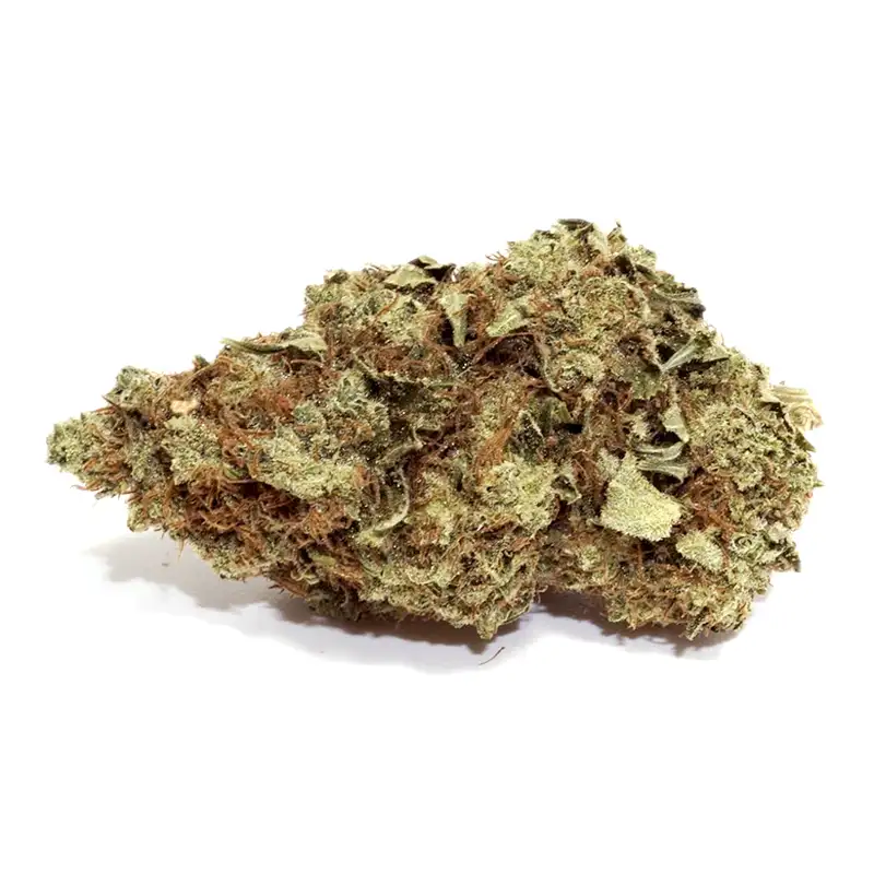 Purple Hindu Kush