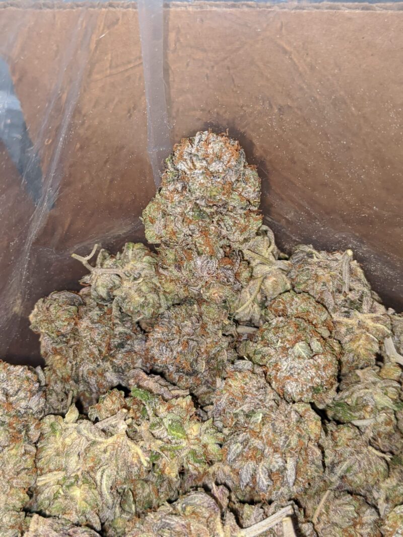 Purple Ice Wreck - Image 7