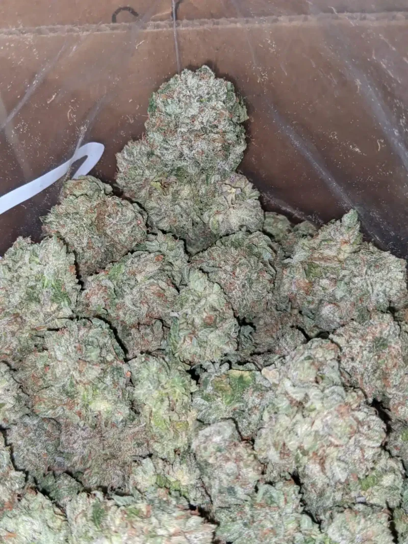 Rockstar AAA - Image 7