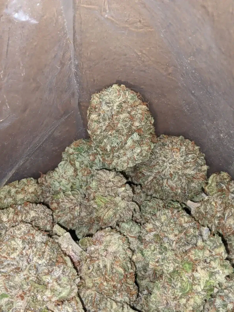Purple Kush - Image 7