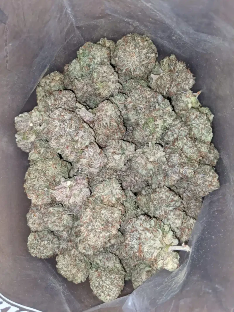 Purple Kush - Image 5