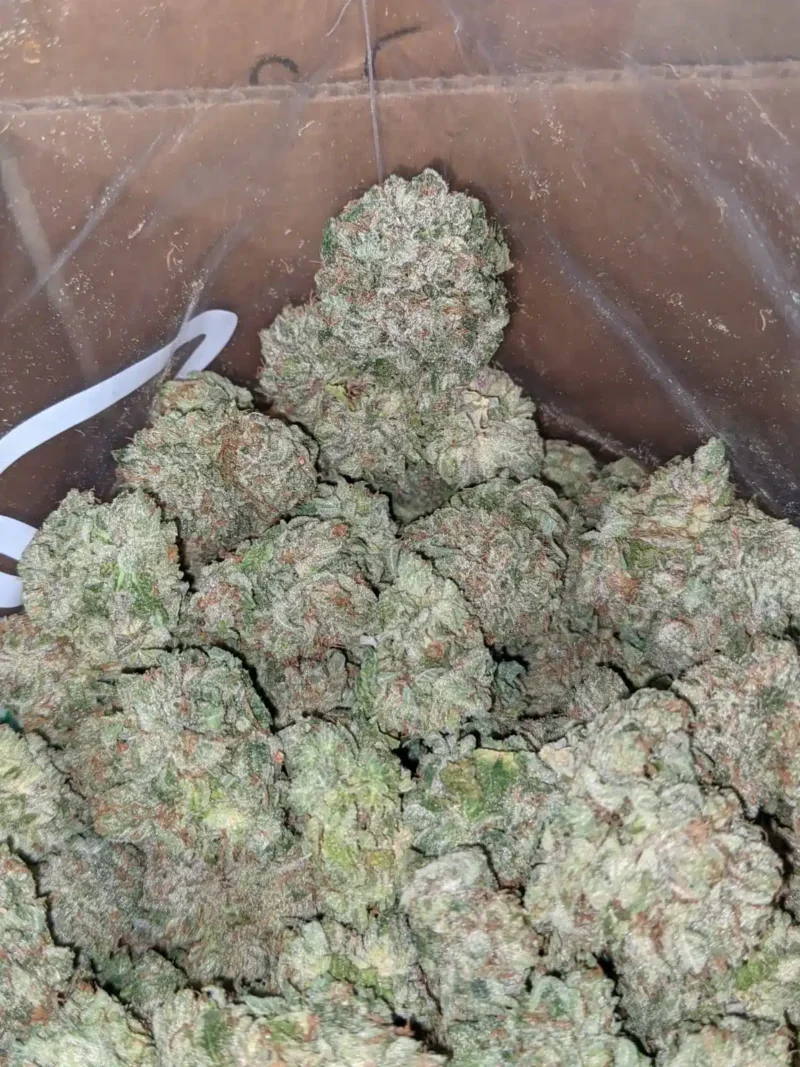 Rockstar AAA - Image 6