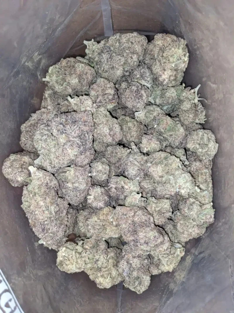 Purple Miracle Alien Cookies - Image 4