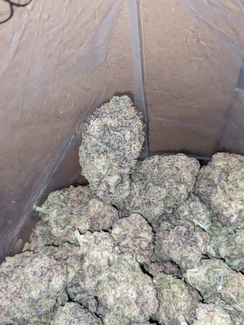 Purple Miracle Alien Cookies - Image 7