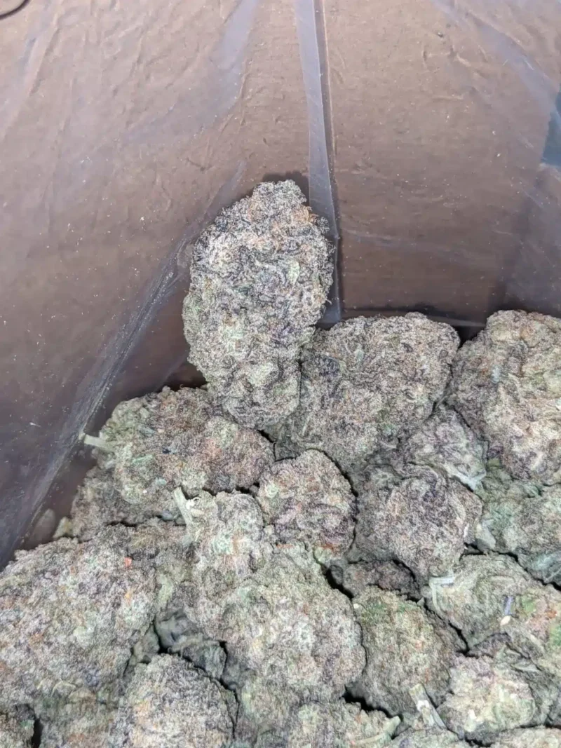Purple Miracle Alien Cookies - Image 6