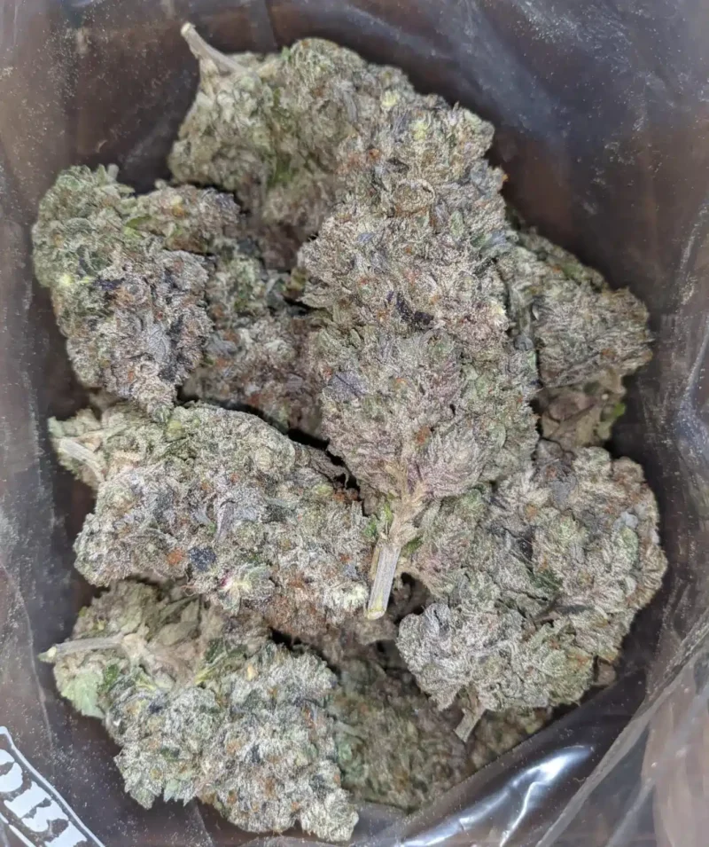 Purple Rockstar - Image 4