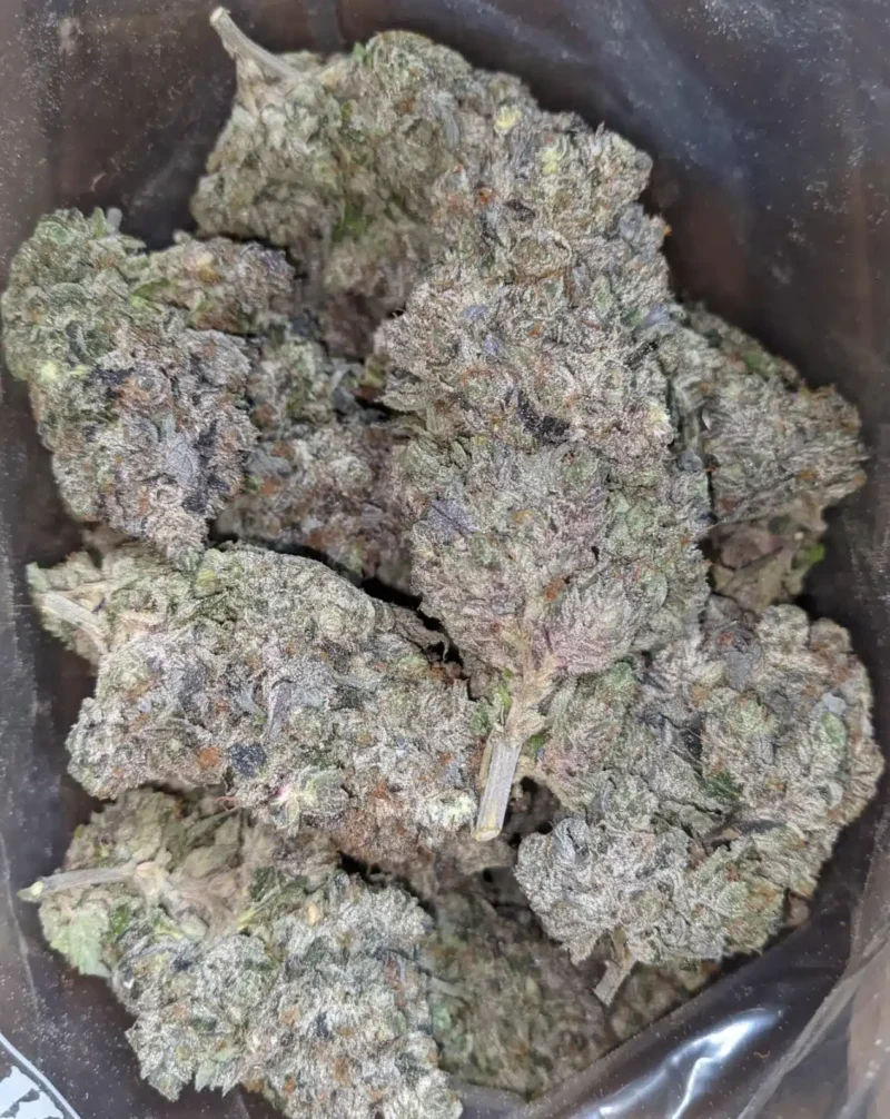 Purple Rockstar - Image 7