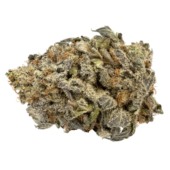 Purple Urkle
