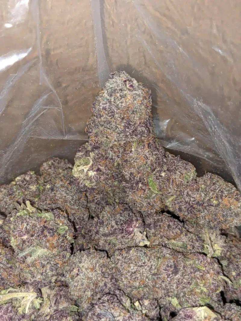 Purple Voodoo - Image 5
